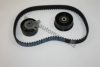 AUTOMEGA 3144310762 Timing Belt Kit